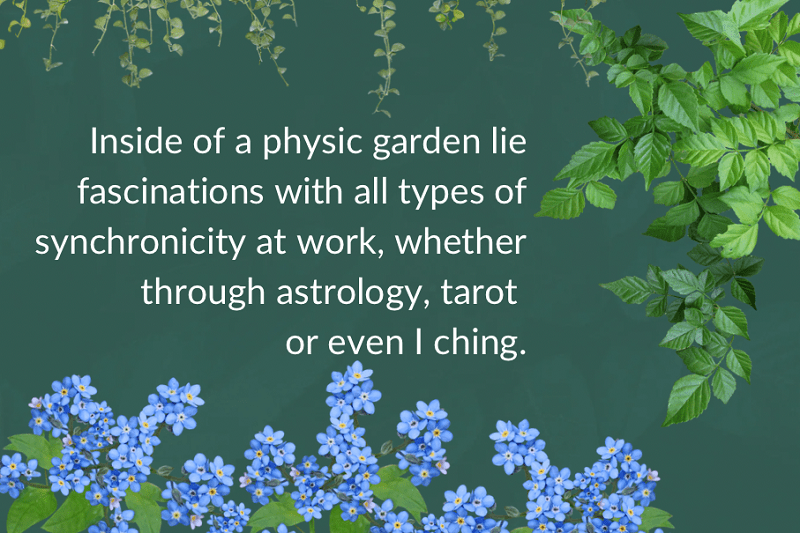 physic garden